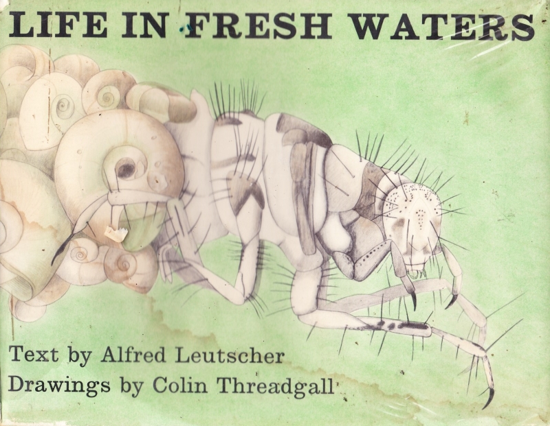 Click to see other cover