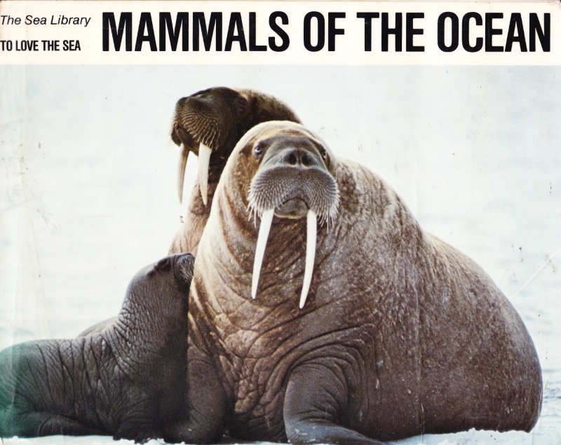 Click to see other cover