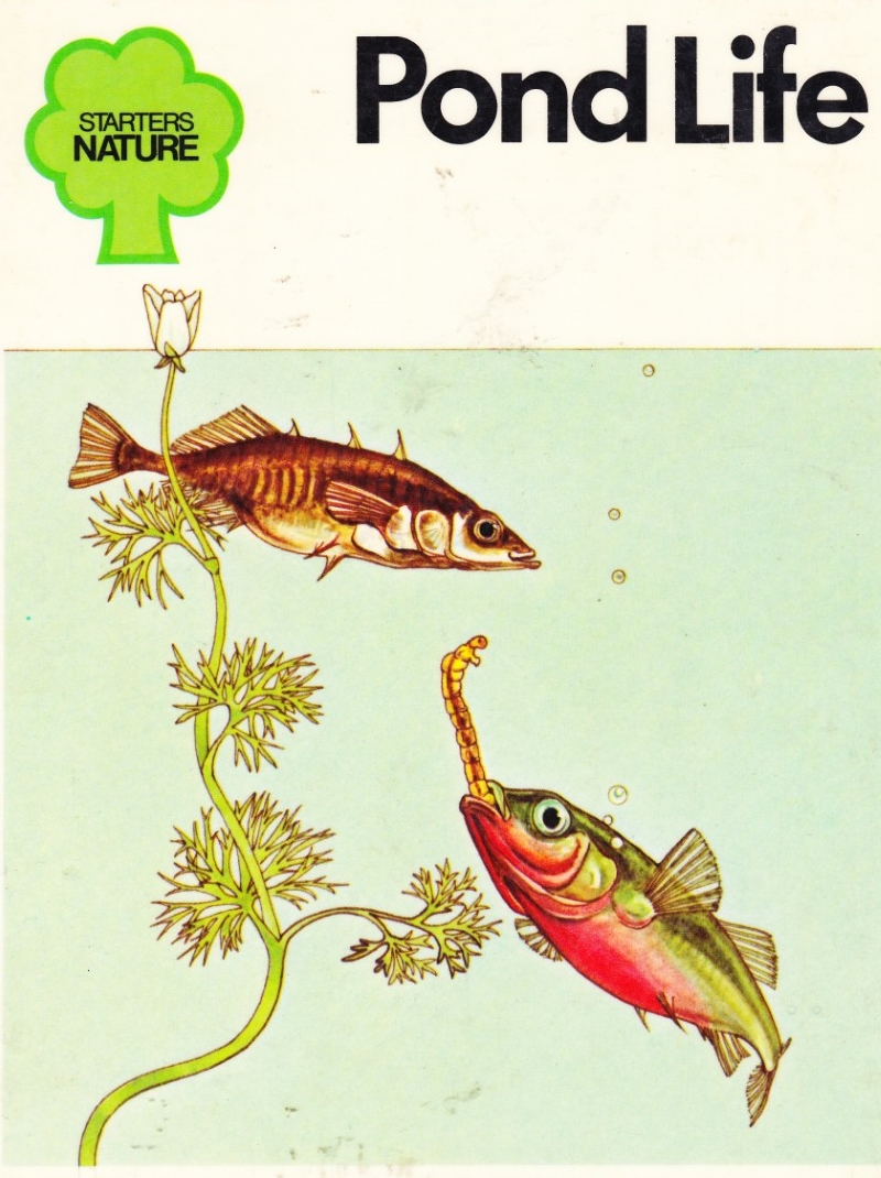 Click to see other cover