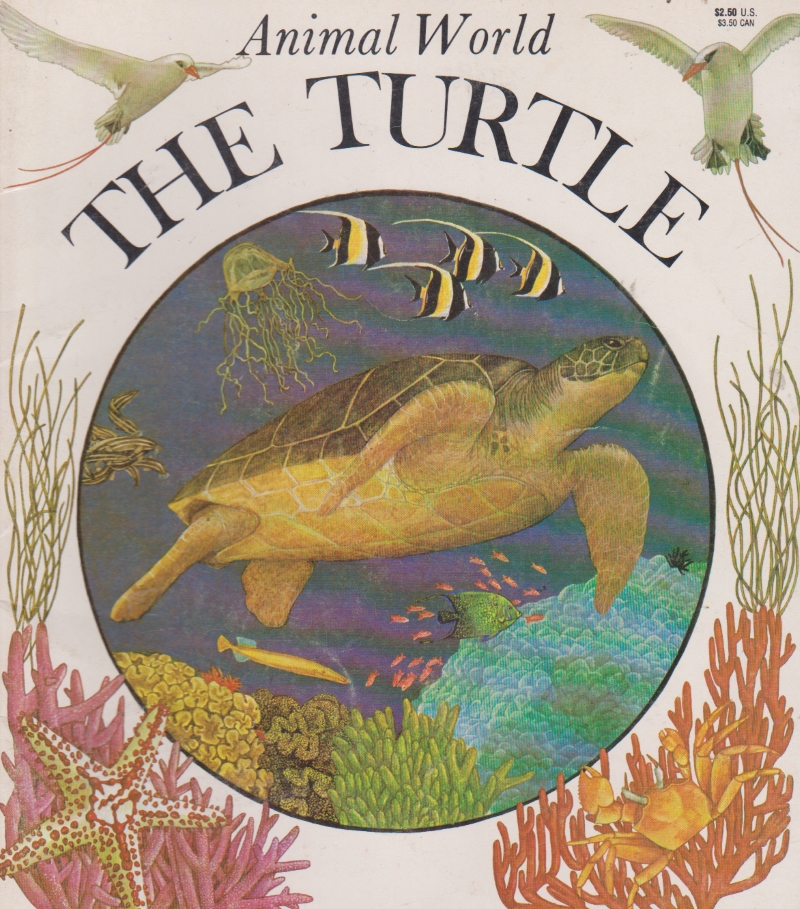 Click to see other cover