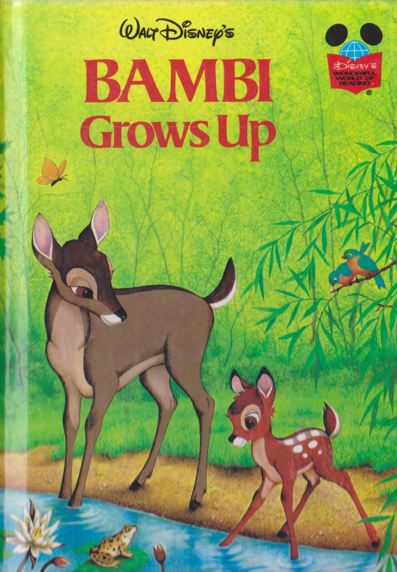 Click to see other cover