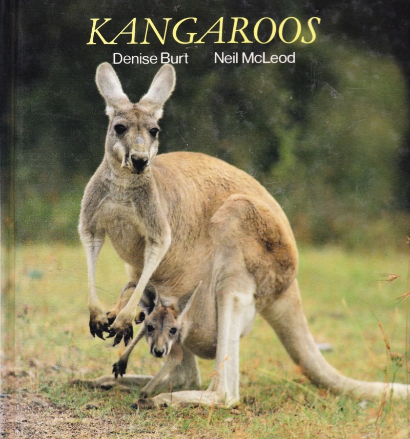 Click to see other cover