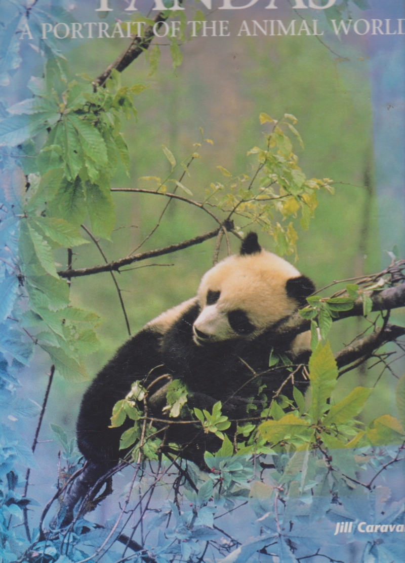 Click to see other cover