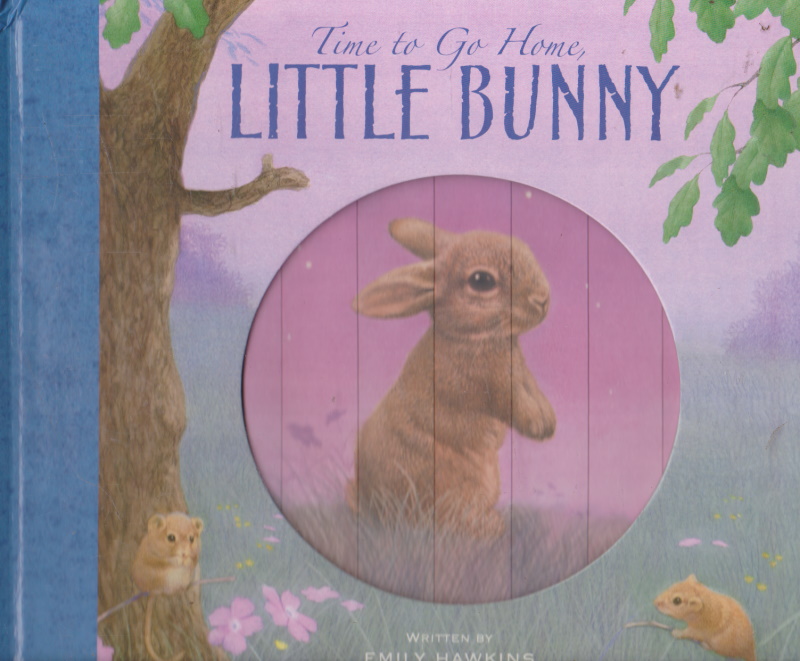 Click to see other cover