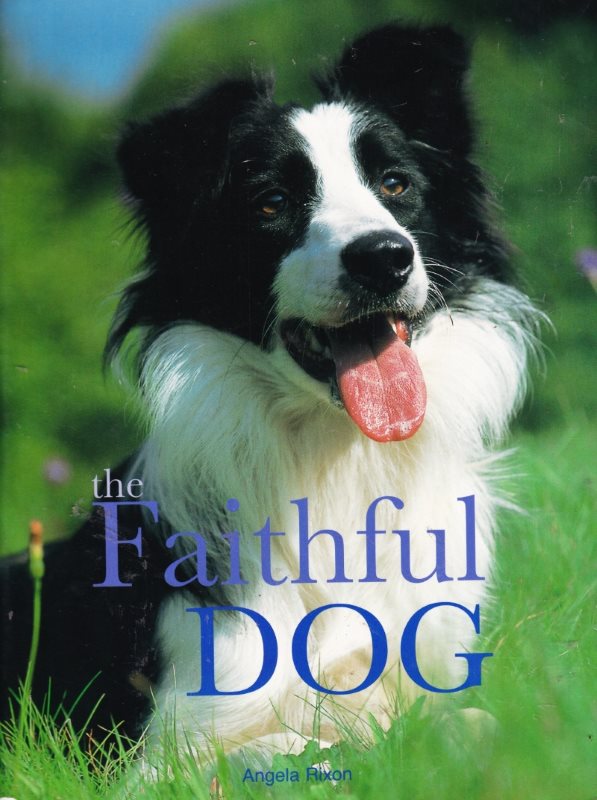 Click to see other cover