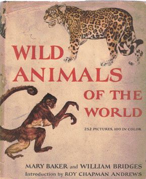 Click to see other cover