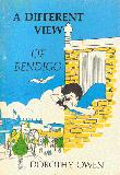 A DIFFERENT VIEW OF BENDIGO