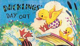 Ducklings' Day Out
