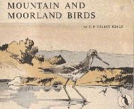 Mountain and Moorland Birds