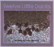 Twelve Little Ducks