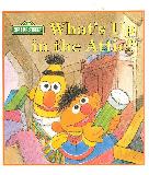 What's Up in the Attic?