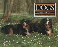DOGS