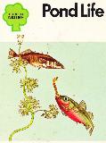 Pond Life (STARTERS NATURE #9)