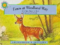 Fawn at Woodland Way