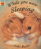 While you were sleeping