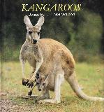 KANGAROOS