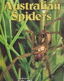 Australian Spiders (Australian wildlife series)