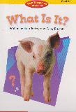 What Is It? (Hight-Frequency READERS, Book 18)