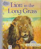 Lion in the Long Grass