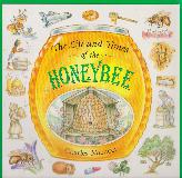 The Life and Times of the HONEYBEE
