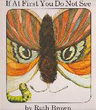 If At First You Do Not See