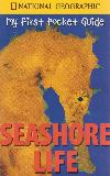 my first pocket Guide SEASHORE LIFE