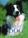the Faithful DOG